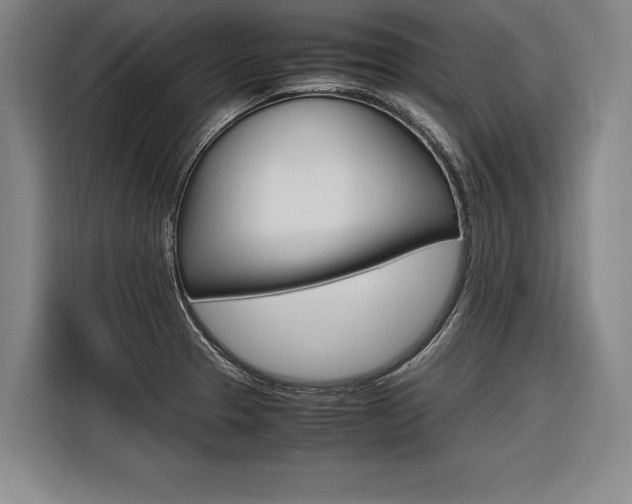 X0000116621329200912110933