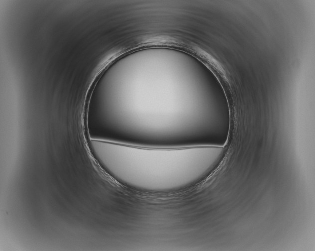 X0000116621330200912110933