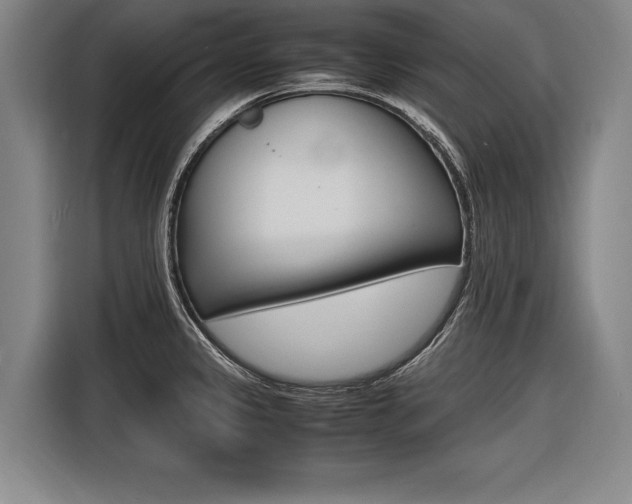 X0000116621333200912110933
