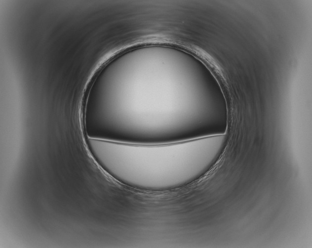 X0000116621334200912110933