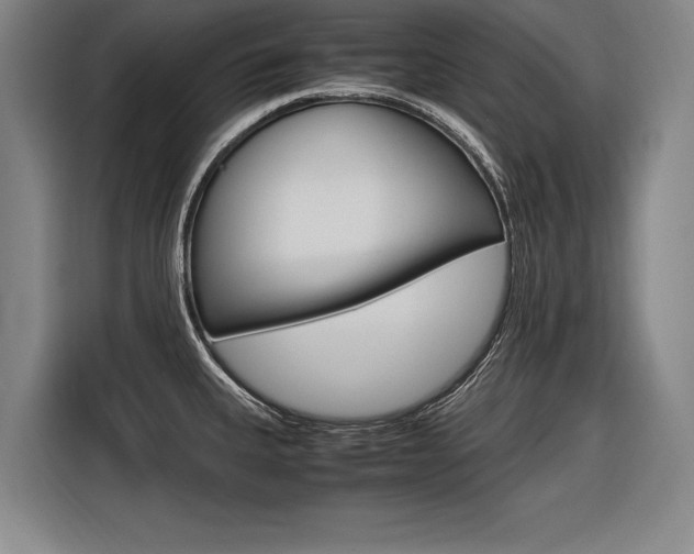 X0000116621335200912110933