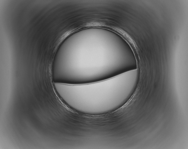 X0000116621337200912110933