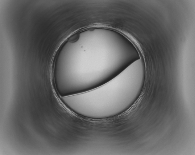 X0000116621341200912110933