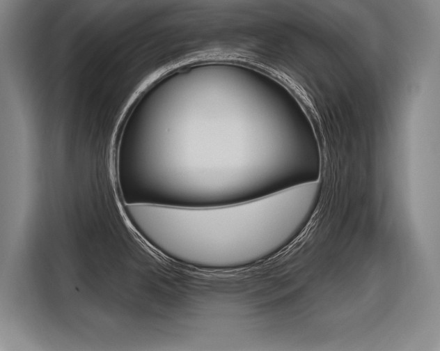 X0000116621342200912110933