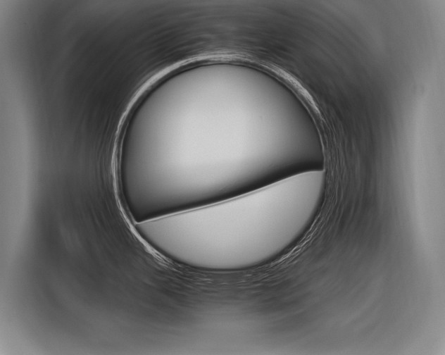 X0000116621343200912110933
