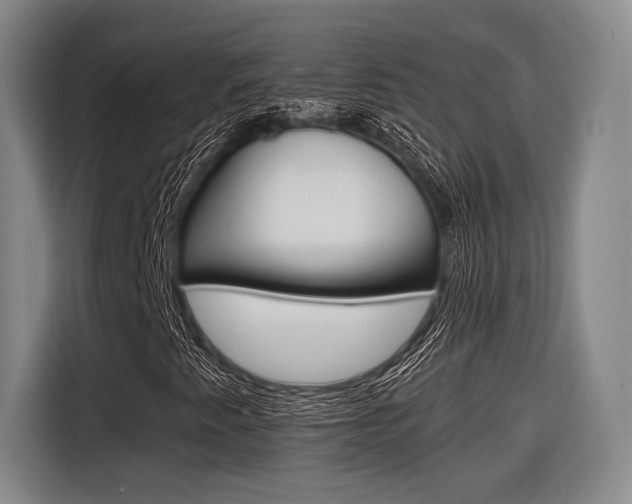 X0000116621345200912110932
