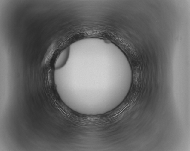 X0000116621346200912110932