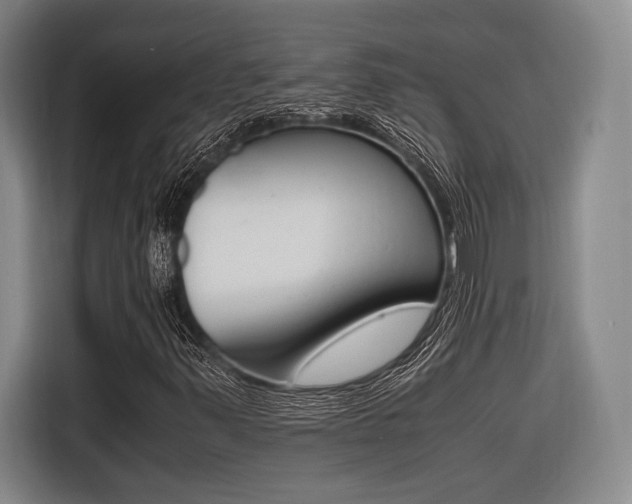X0000116621347200912110932