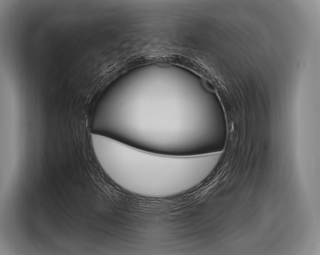X0000116621348200912110932