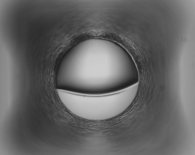 X0000116621349200912110932