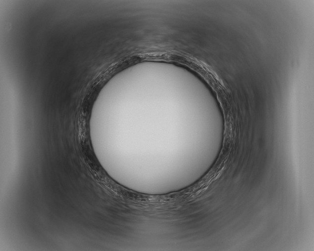 X0000116621350200912110932