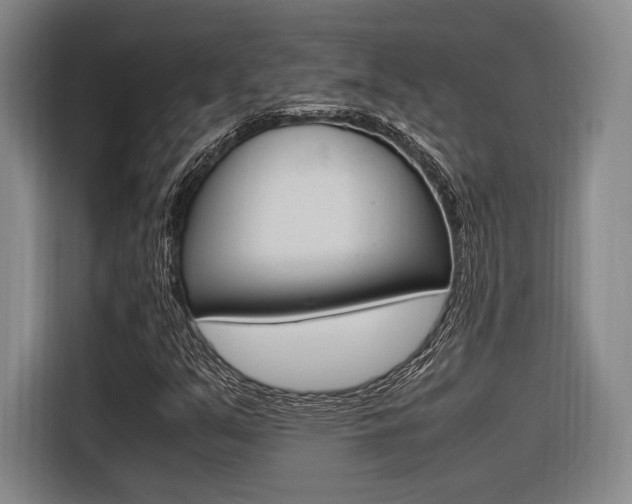 X0000116621351200912110932