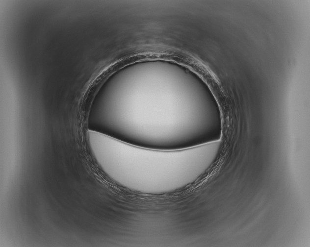 X0000116621352200912110932