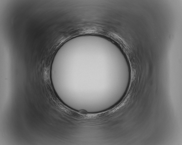 X0000116621353200912110932