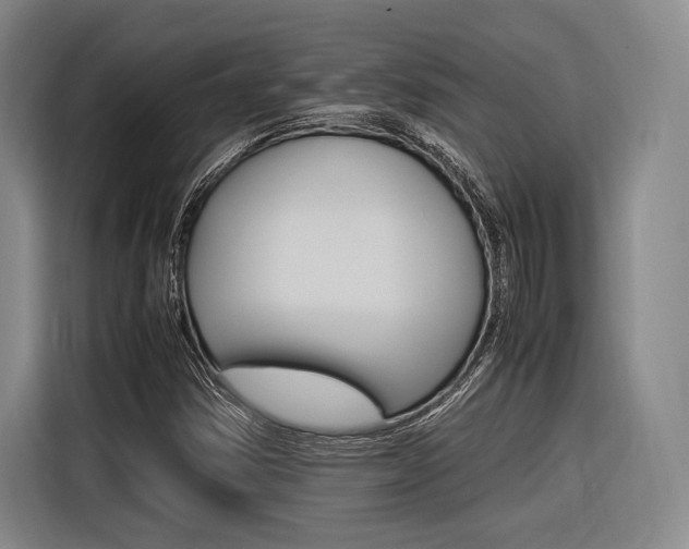 X0000116621354200912110932