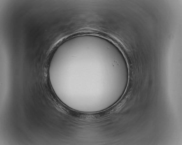 X0000116621355200912110932