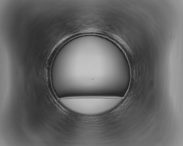 X0000116621356200912110932