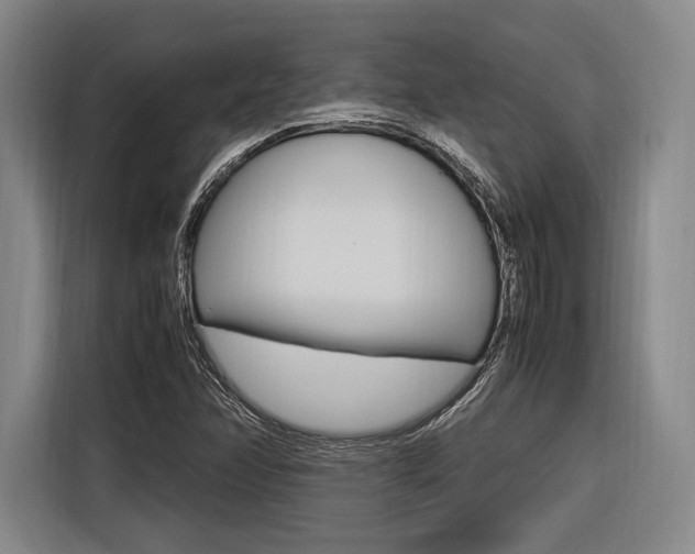 X0000116621358200912110932