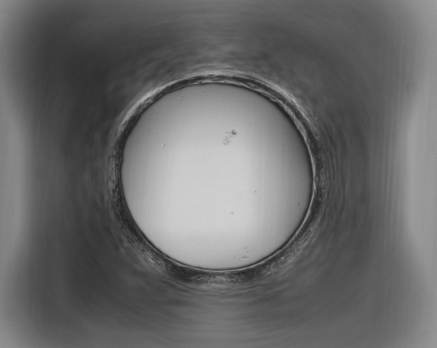 X0000116621359200912110932