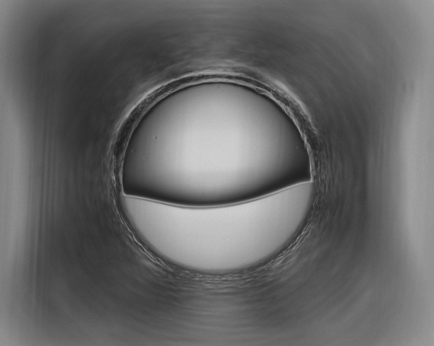 X0000116621360200912110932