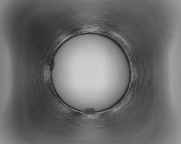 X0000116621361200912110932