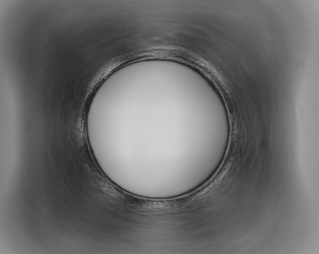 X0000116621362200912110932