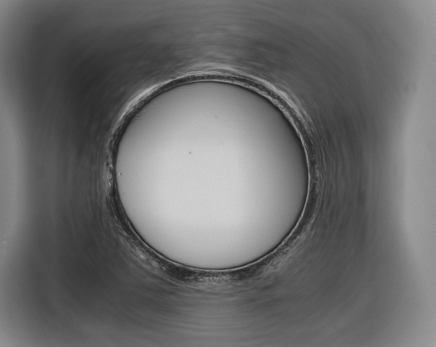 X0000116621363200912110932