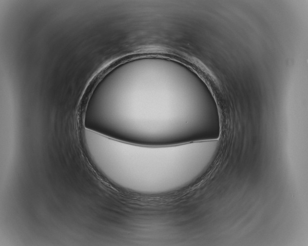 X0000116621364200912110932