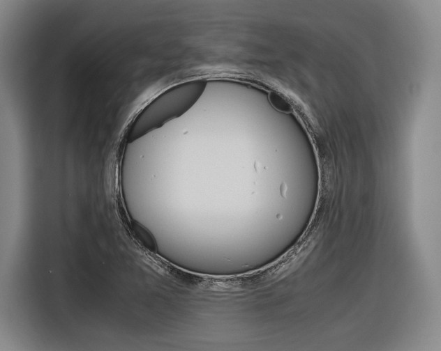X0000116621365200912110932