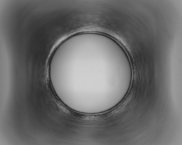 X0000116621366200912110932