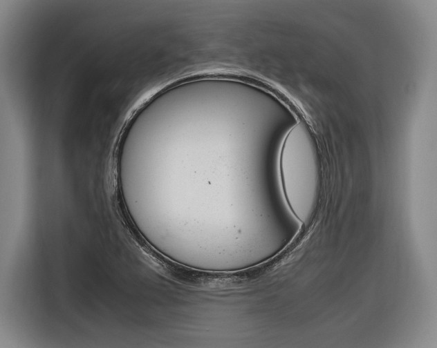 X0000116621367200912110932