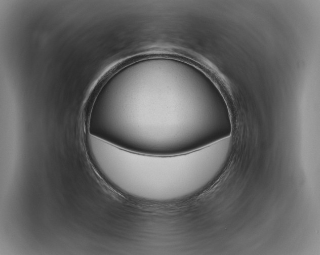 X0000116621368200912110932