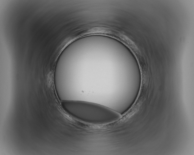 X0000116621369200912110932