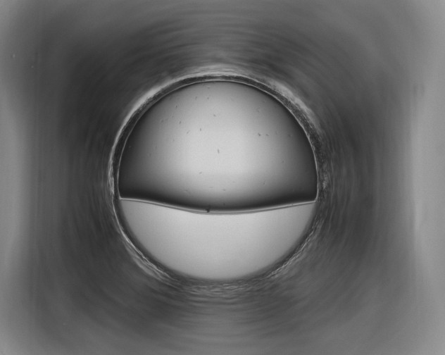 X0000116621372200912110932
