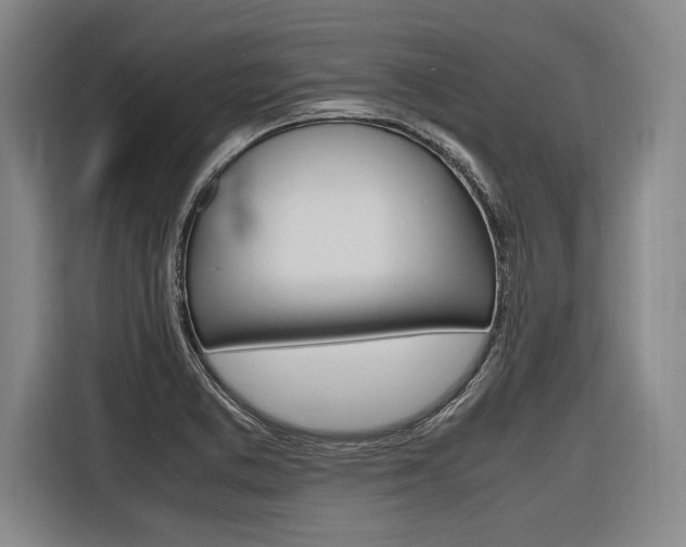 X0000116621373200912110932