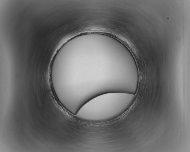 X0000116621374200912110932