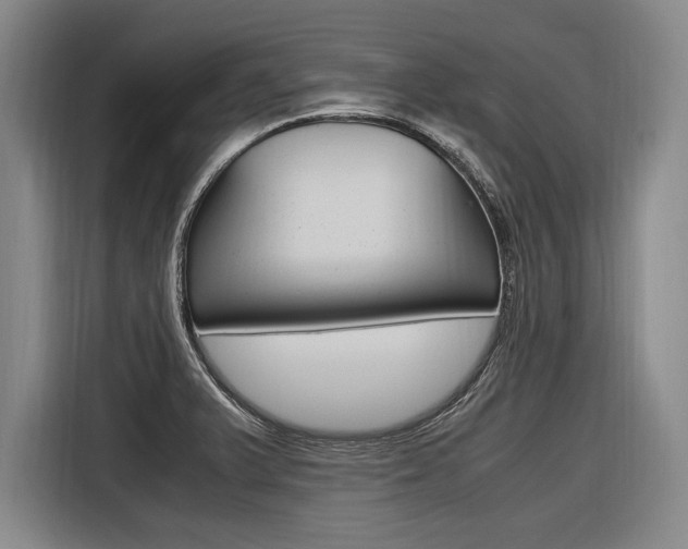 X0000116621375200912110932