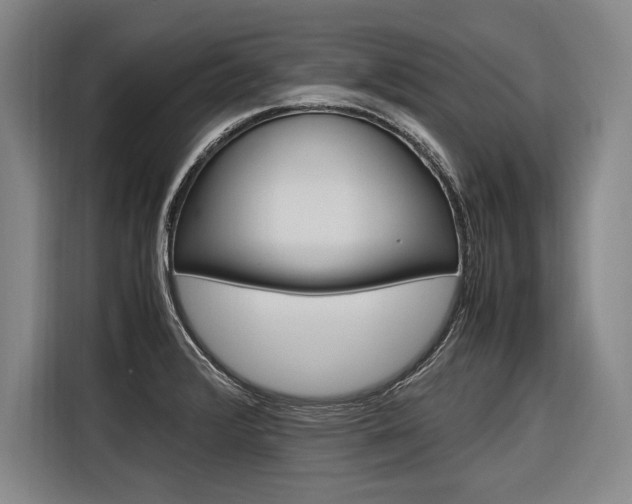 X0000116621376200912110932