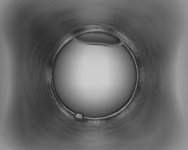 X0000116621377200912110932