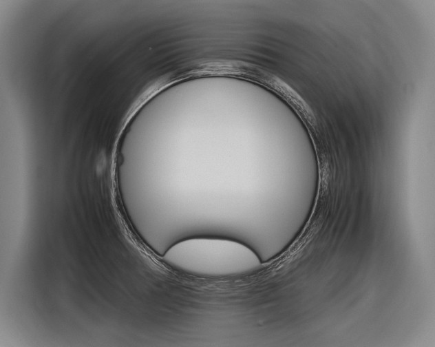 X0000116621378200912110932