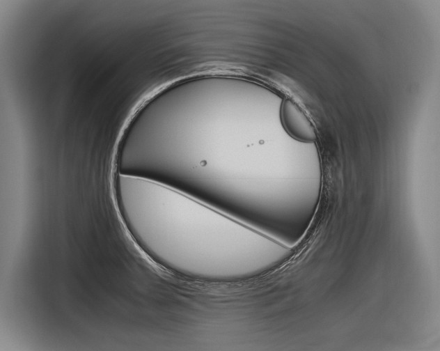 X0000116621379200912110932