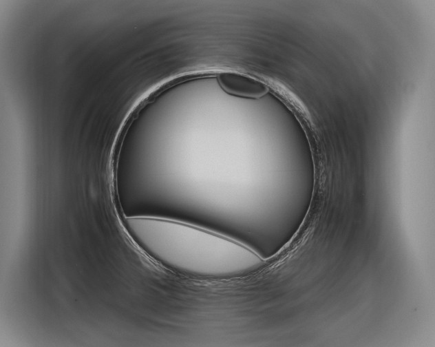 X0000116621380200912110932