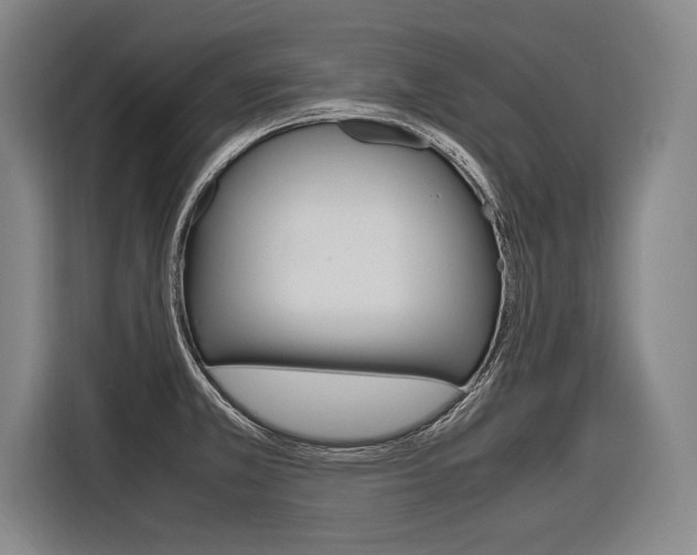 X0000116621381200912110932