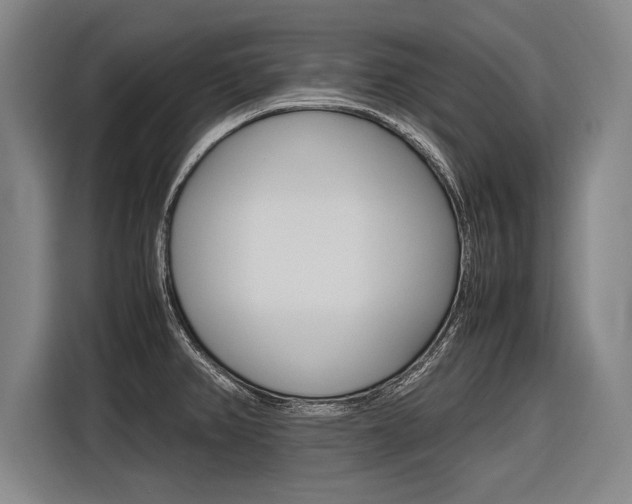 X0000116621382200912110932