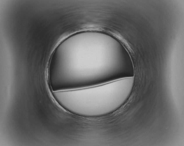 X0000116621383200912110932