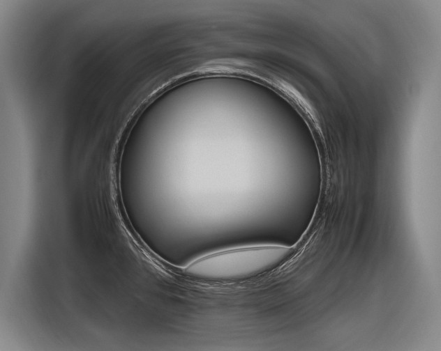 X0000116621384200912110932