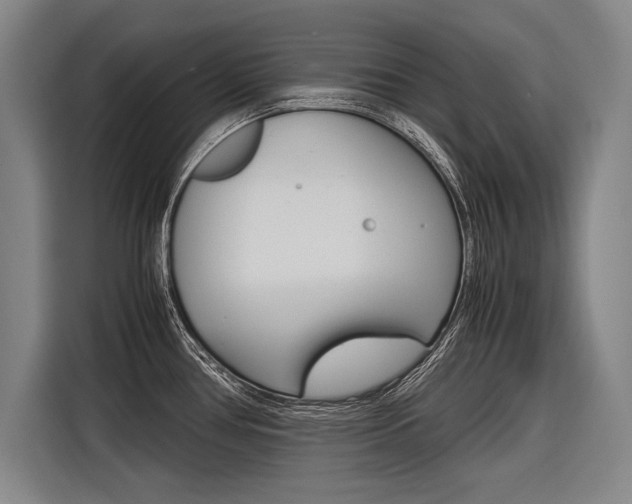 X0000116621386200912110932