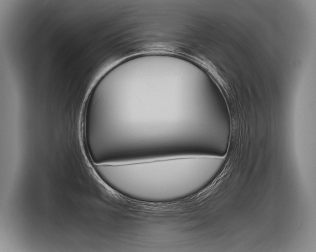 X0000116621387200912110932