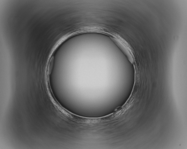 X0000116621389200912110932