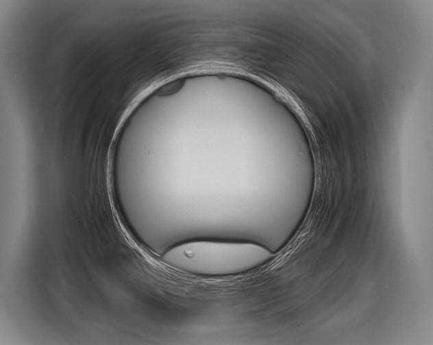 X0000116621390200912110932
